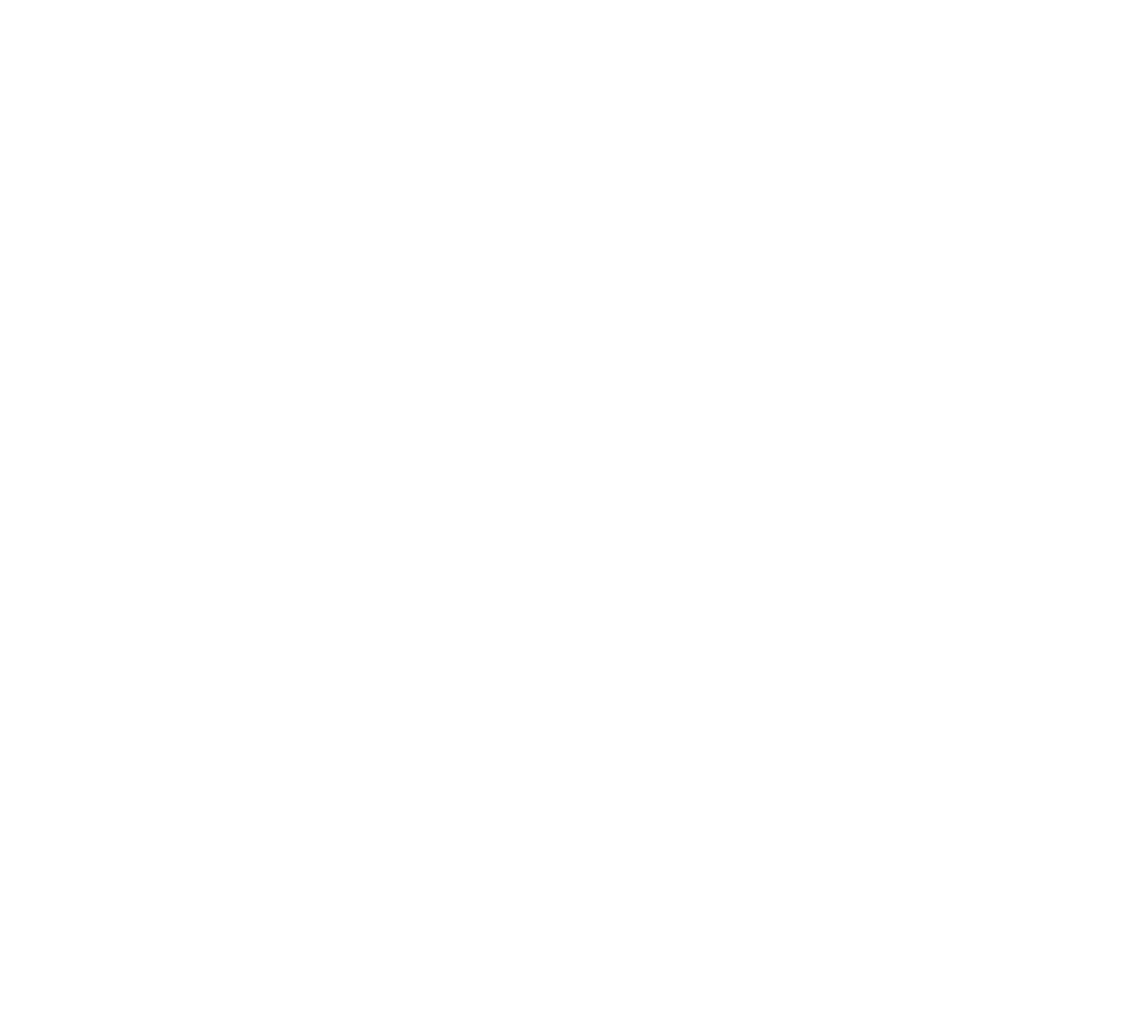 Virtual Consultations Icon